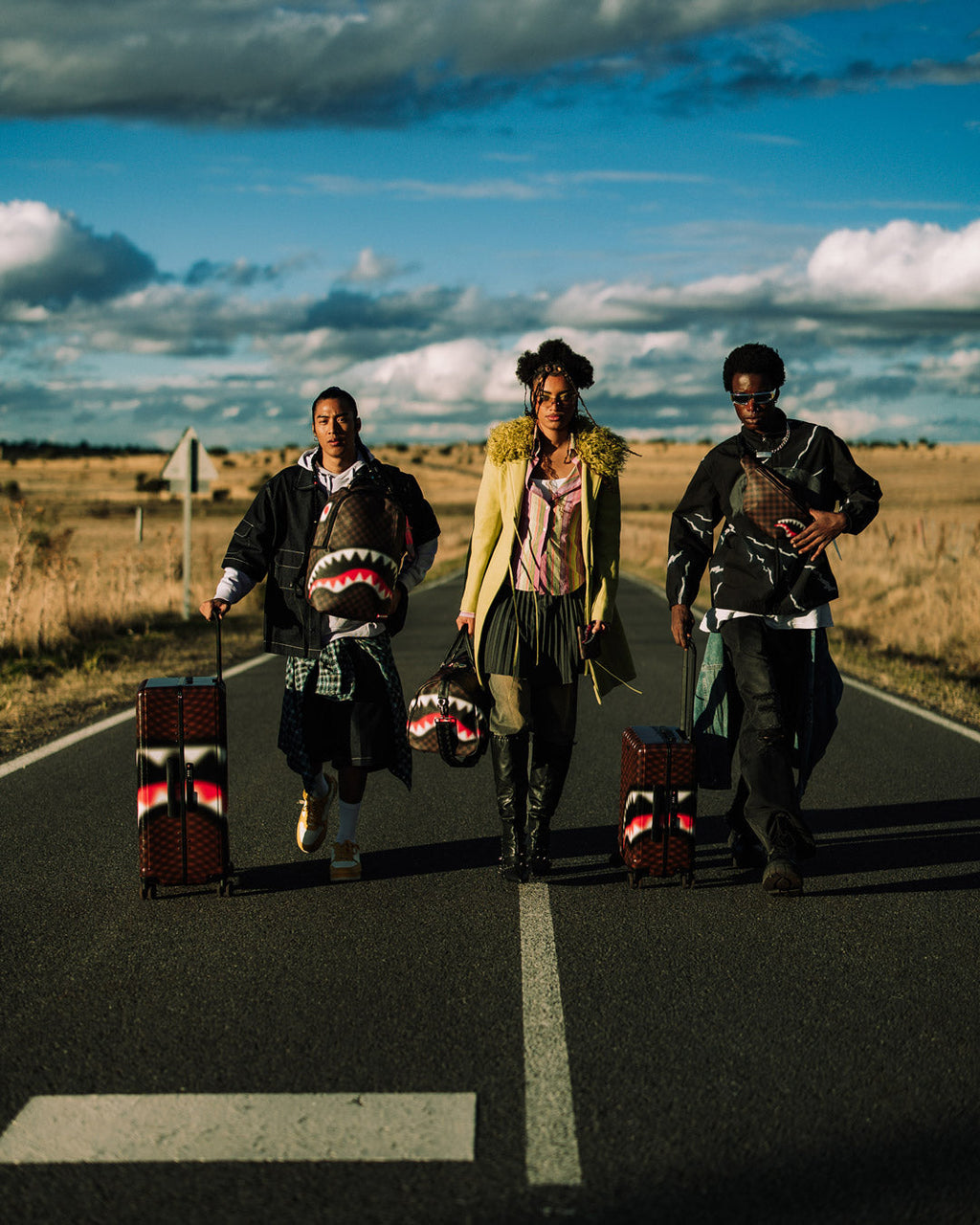 SHARKS IN PARIS BLUR EFFECT FULL SIZE LUGGAGE